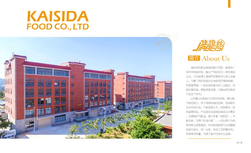 宣传画册｜公司简介